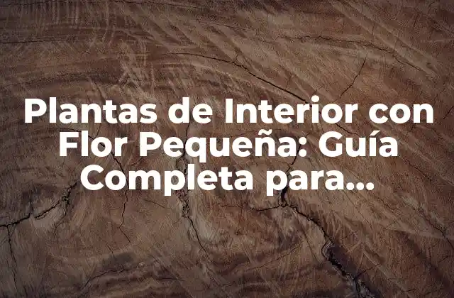 Plantas de Interior con Flor Pequeña: Guía Completa para Cuidarlas
