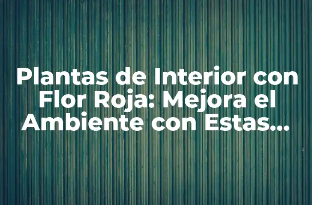 Ventajas de Tener Plantas de Interior con Flor Roja