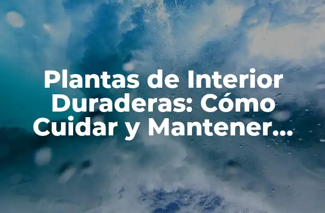 Plantas de Interior Duraderas: Cómo Cuidar y Mantener Vivas a Tus Plantas Favoritas