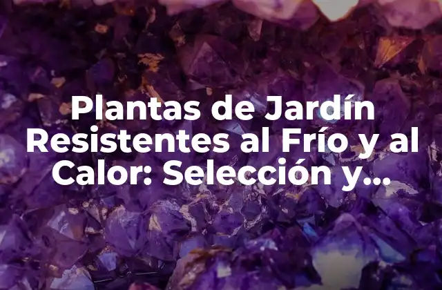 Plantas de Jardín Resistentes Al Frío y Al Calor: Selección y Cuidado