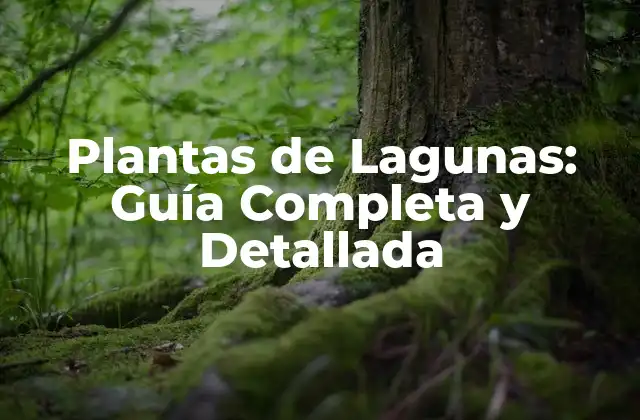Plantas de Lagunas: Guía Completa y Detallada