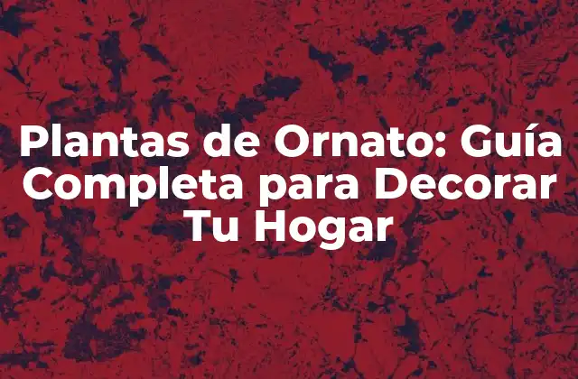 Plantas de Ornato: Guía Completa para Decorar Tu Hogar