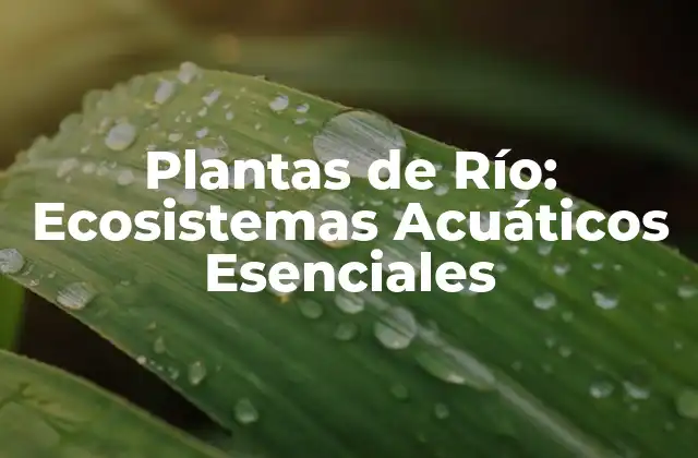 ¿Qué son las Plantas de Río?