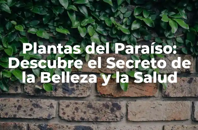 Plantas Del Paraíso: Descubre el Secreto de la Belleza y la Salud