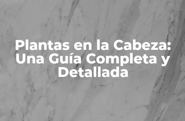 Plantas en la Cabeza: una Guía Completa y Detallada