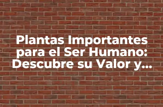 Plantas Importantes para el Ser Humano: Descubre Su Valor y Significado