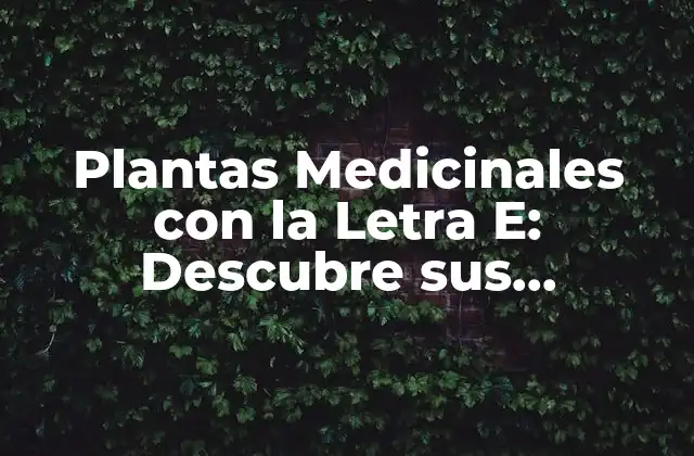 Plantas Medicinales con la Letra E: Descubre Sus Propiedades y Beneficios