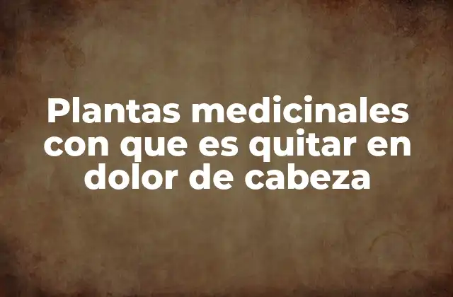 Plantas Medicinales con que es Quitar en Dolor de Cabeza
