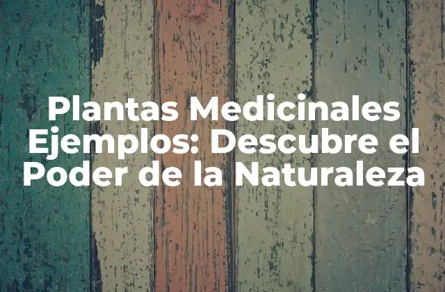 Plantas Medicinales Ejemplos: Descubre el Poder de la Naturaleza