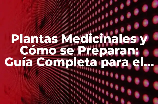 Plantas Medicinales y Cómo Se Preparan: Guía Completa para el Uso Efectivo