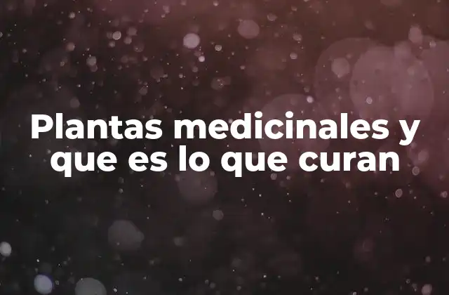 Plantas Medicinales y que es Lo que Curan