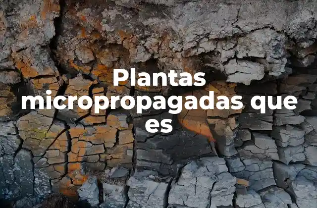 La ciencia detrás de la micropropagación vegetal