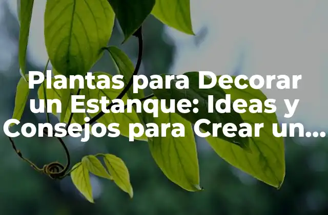 Plantas para Decorar un Estanque: Ideas y Consejos para Crear un Ambiente Acuático Harmonioso