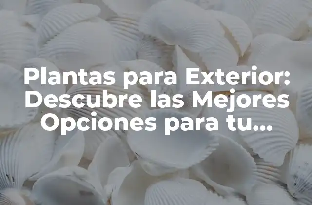Plantas para Exterior: Descubre las Mejores Opciones para Tu Jardín