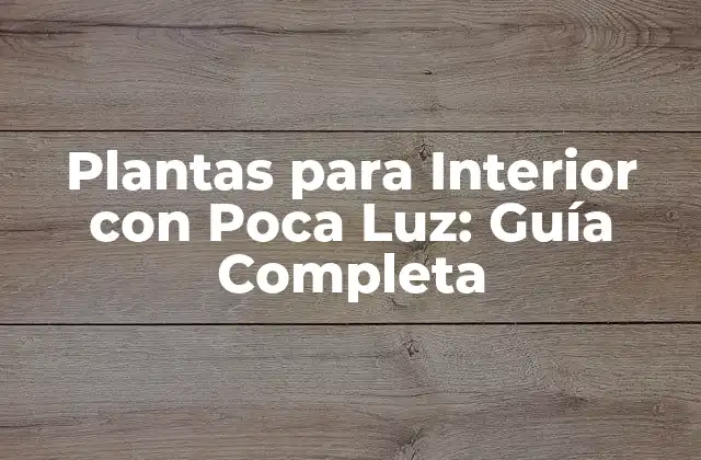 Plantas para Interior con Poca Luz: Guía Completa 2 ¿Por qué las Plantas para Interior con Poca Luz son Importantes?