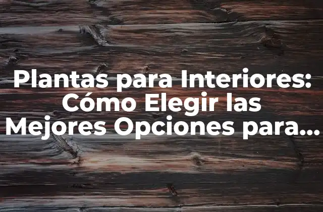 Beneficios de las Plantas para Interiores