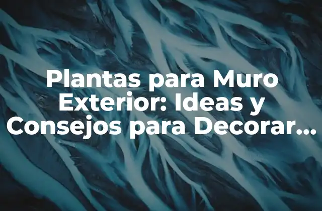 Plantas para Muro Exterior: Ideas y Consejos para Decorar Tu Jardín