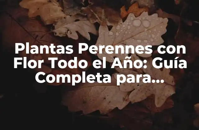 Plantas Perennes con Flor Todo el Año: Guía Completa para Jardines Coloridos