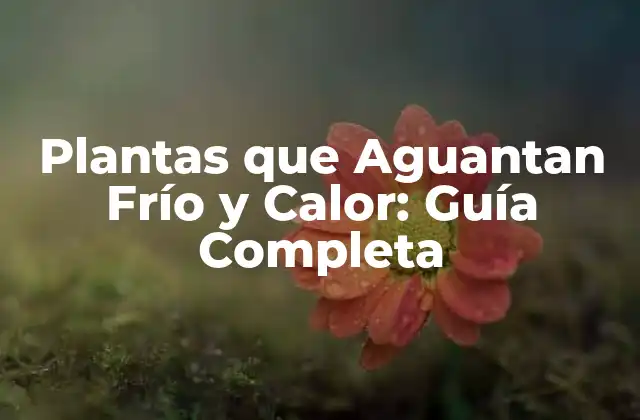 Plantas que Aguantan Frío y Calor: Guía Completa