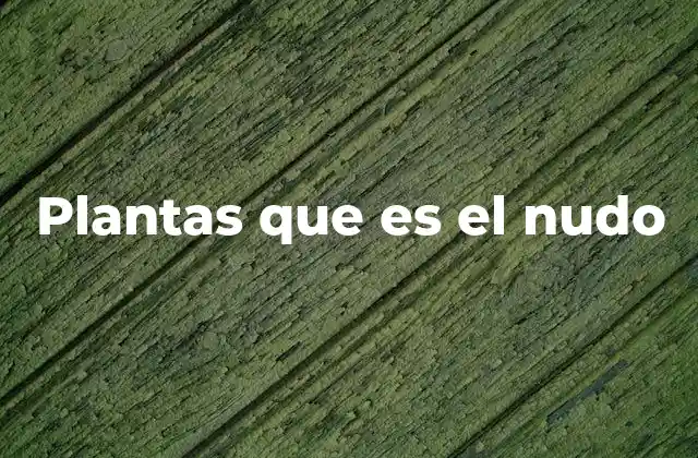 La importancia de los nudos en la morfología vegetal