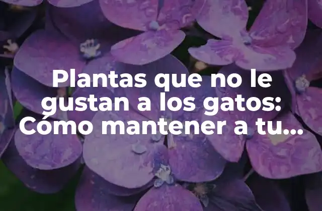 Plantas que No Le Gustan a los Gatos: Cómo Mantener a Tu Mascota Fuera de Problemas