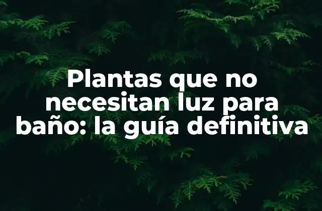 Plantas que No Necesitan Luz para Baño: la Guía Definitiva