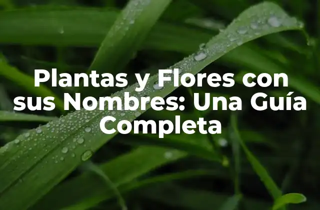 Plantas y Flores con Sus Nombres: una Guía Completa