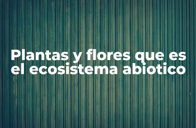 Plantas y Flores que es el Ecosistema Abiotico