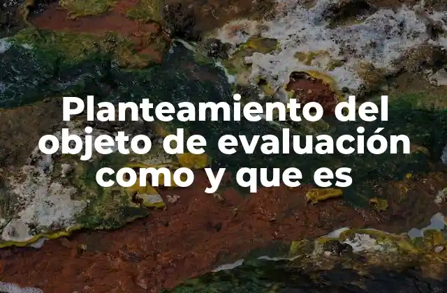 Planteamiento Del Objeto de Evaluación como y que es