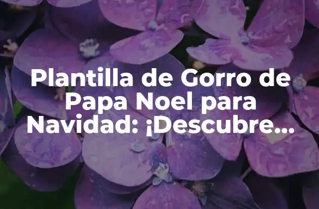 Plantilla de Gorro de Papa Noel para Navidad: ¡descubre Cómo Hacerlo!