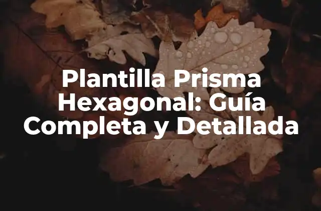 Plantilla Prisma Hexagonal: Guía Completa y Detallada