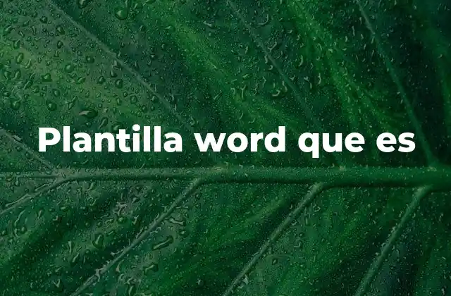 Plantilla Word que es