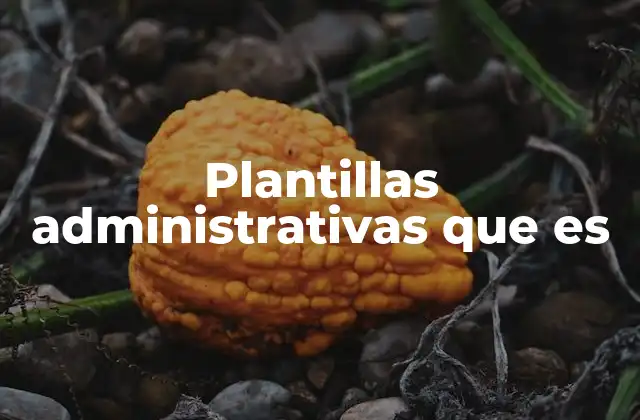 Plantillas Administrativas que es