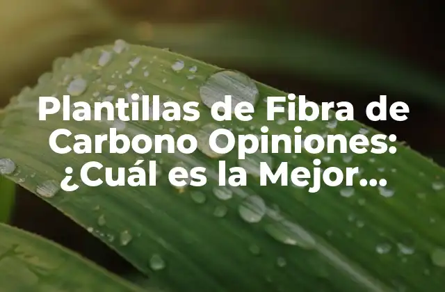 Plantillas de Fibra de Carbono Opiniones: ¿cuál es la Mejor Opción?
