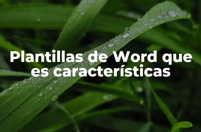 Plantillas de Word que es Características