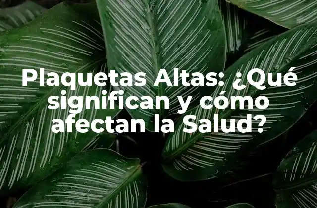 ¿Cuál es el Nivel Normal de Plaquetas en la Sangre?