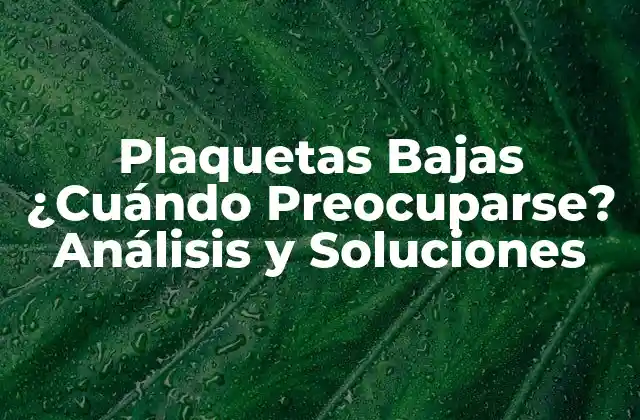 Plaquetas Bajas ¿cuándo Preocuparse? Análisis y Soluciones