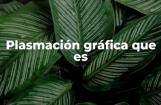 Plasmación Gráfica que es 2 La importancia de la representación visual en la comunicación