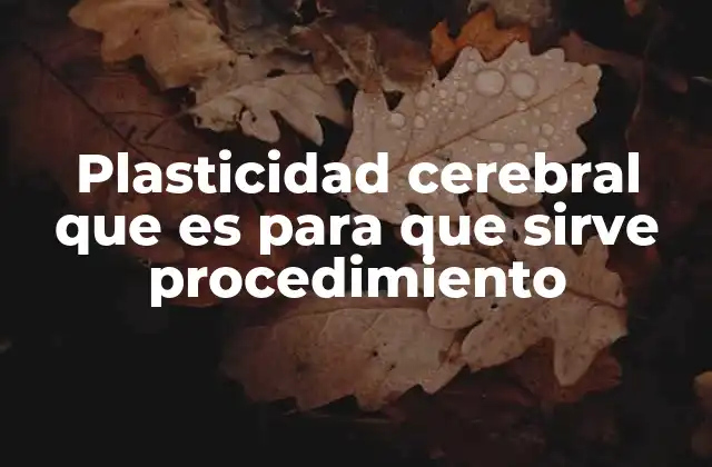 Plasticidad Cerebral que es para que Sirve Procedimiento 2 La adaptabilidad del cerebro humano