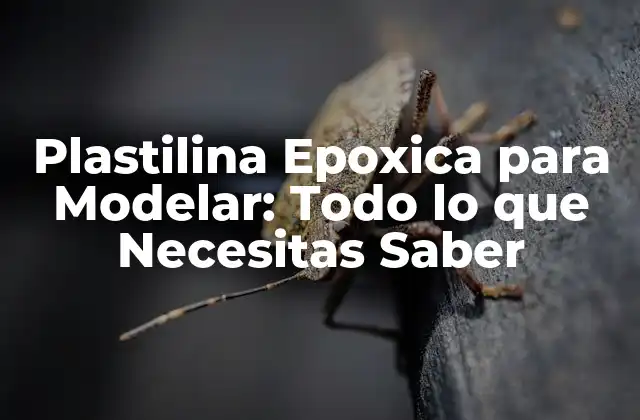 ¿Qué es la Plastilina Epoxica para Modelar?