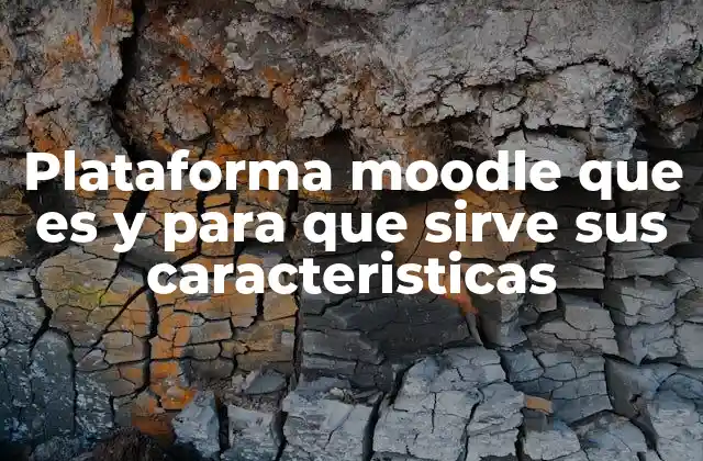 Plataforma Moodle que es y para que Sirve Sus Caracteristicas