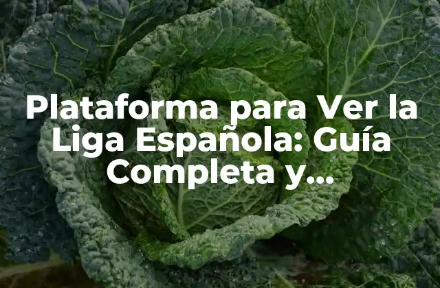 Plataforma para Ver la Liga Española: Guía Completa y Actualizada