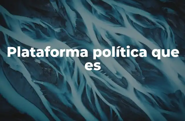 La importancia de la plataforma política en la democracia