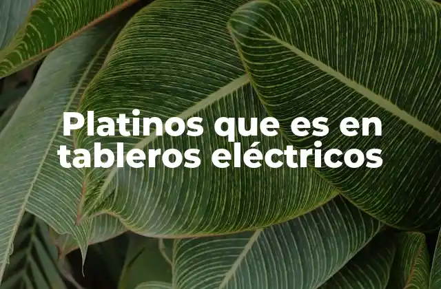 Funcionamiento de los platinos en los sistemas de control eléctrico