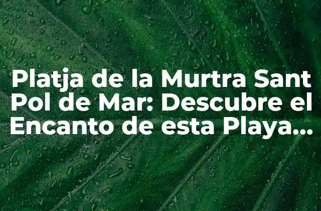 Platja de la Murtra Sant Pol de Mar: Descubre el Encanto de Esta Playa Catalana