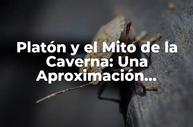 Platón y el Mito de la Caverna: una Aproximación Filosófica