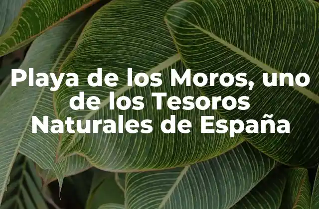 Playa de los Moros, Uno de los Tesoros Naturales de España