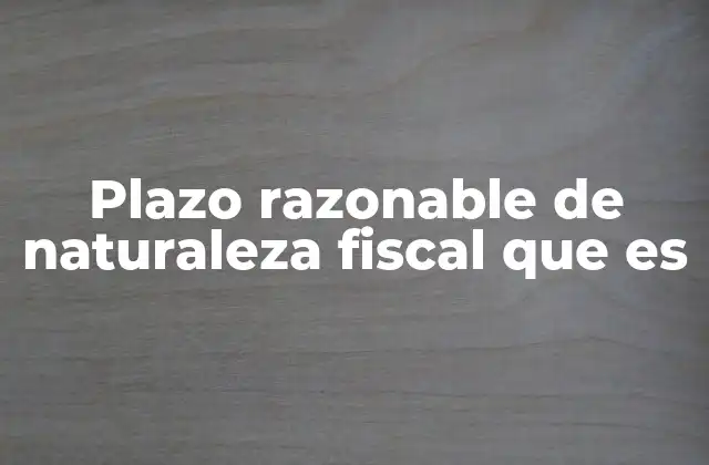 Plazo Razonable de Naturaleza Fiscal que es