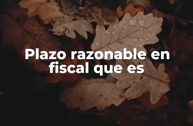 La importancia de un proceso fiscal eficiente