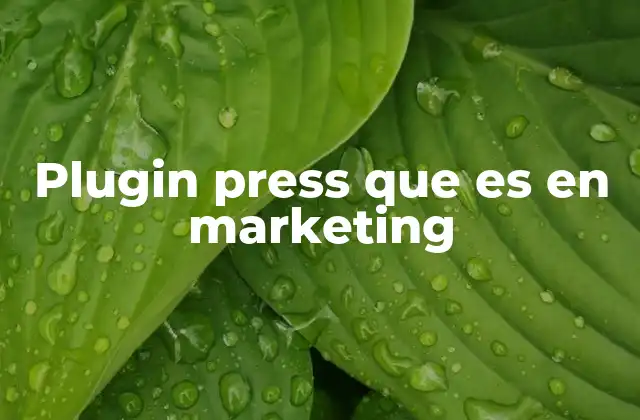 Plugin Press que es en Marketing